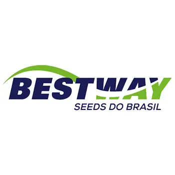 Bestway-logo.webp